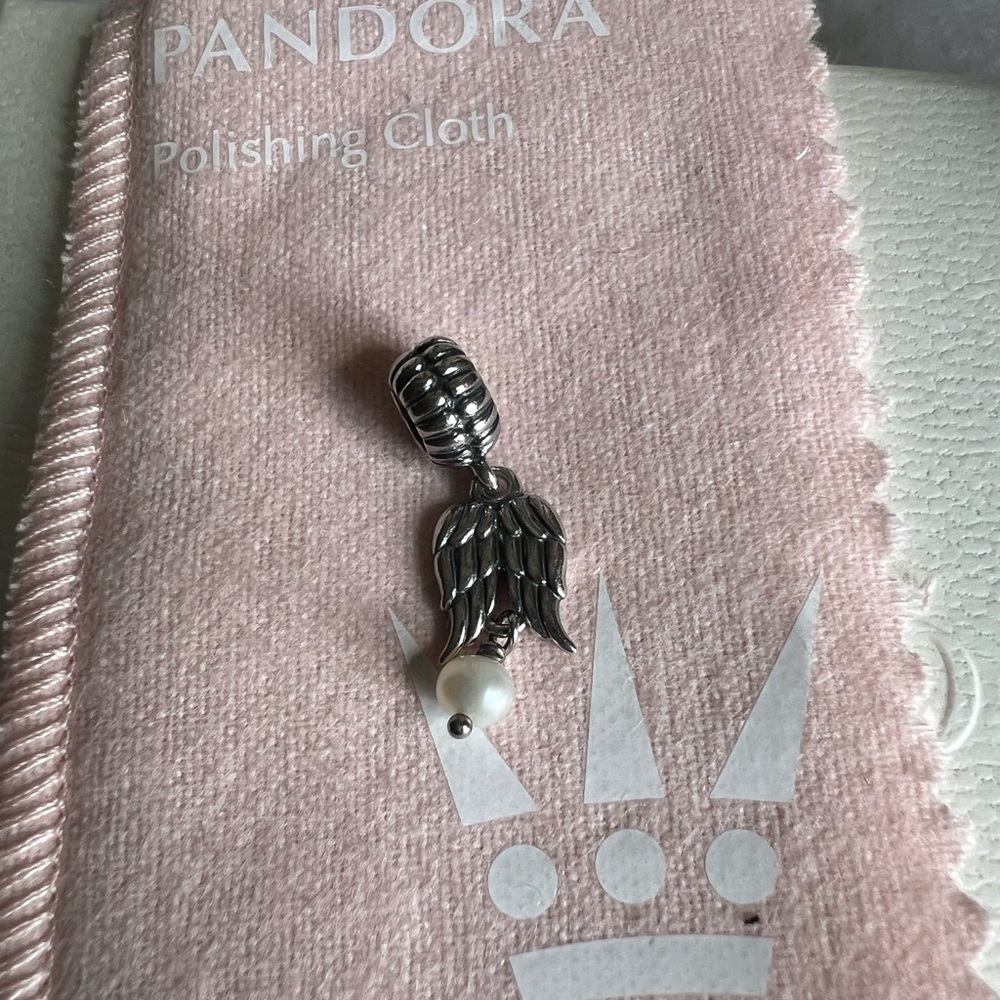 Pandora angle wings charm